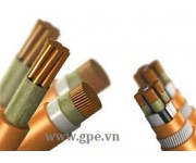 Cáp chống cháy CXV/FR-...0,6/1kV