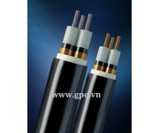 MV CABLE CXV/Sc/PVC 3 COREs UN-ARMOUR