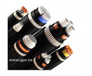 Cáp CXV/DSTA(SWA)/PVC 2/3/4 x ...0,6/1kV