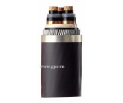MV CABLE 24kV CXV/DSTA(SWA)